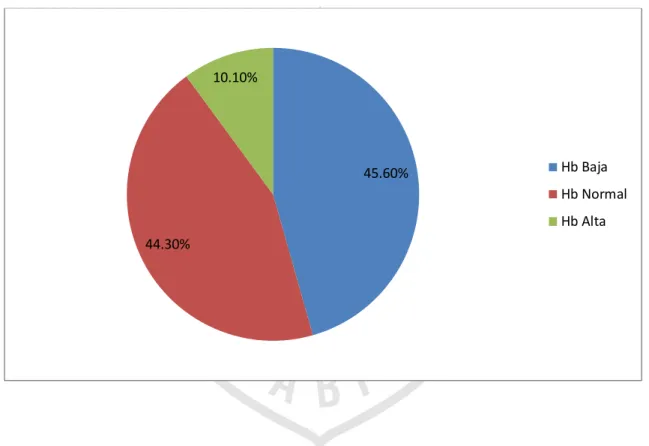 GRÁFICO Nº III 