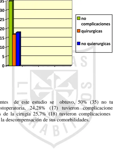 GRÁFICO Nº 13: 