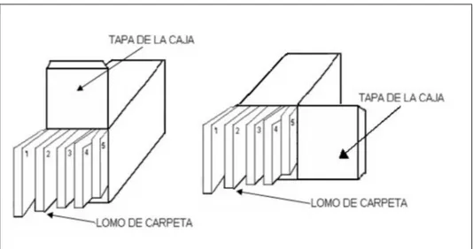 Figura 7. Ubicación de carpetas dentro de la caja. 