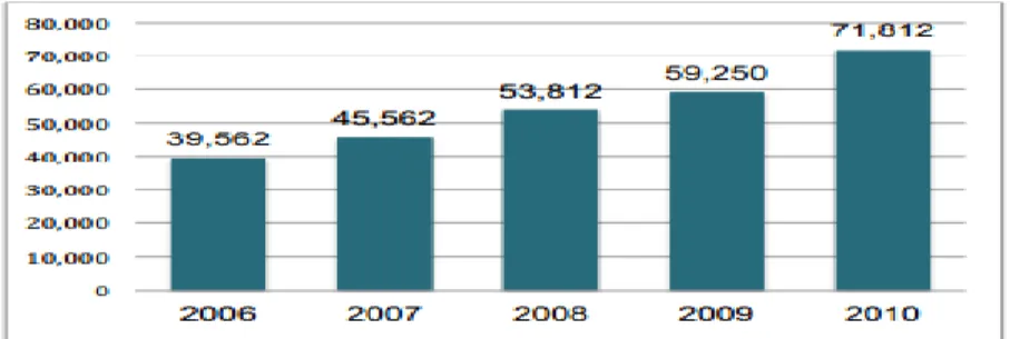 Gráfico N° 17 