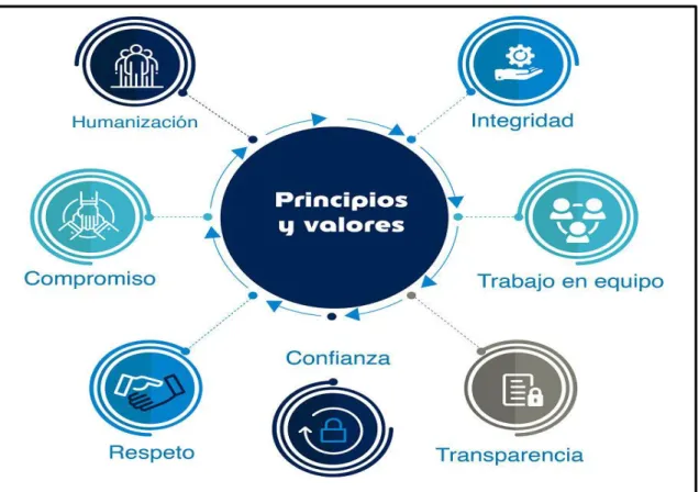Ilustración 6: PRINCIPIOS Y VALORES
