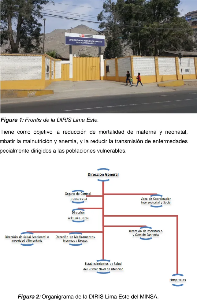 Figura 2: Organigrama de la DIRIS Lima Este del MINSA. 