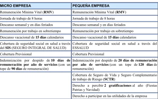 Tabla 5: Derechos micro empresa y pequeña empresa 