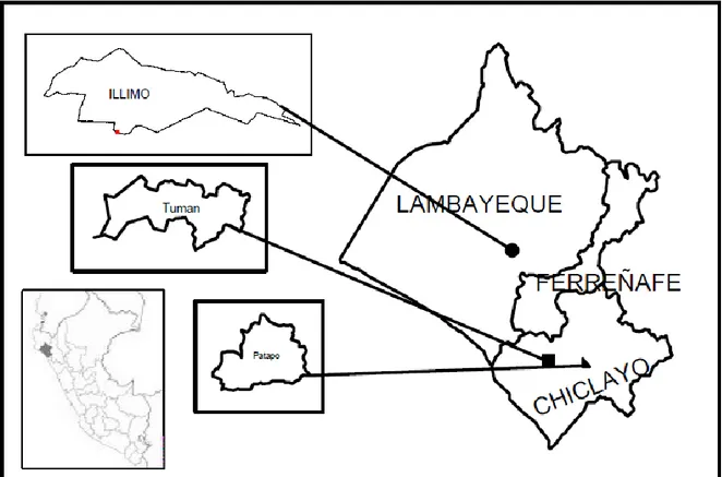 Figura  1:  Ubicación relativa en  el  Mapa  de Lambayeque  los  distritos  de  Pátapo,  Tumán e Íllimo- Perú