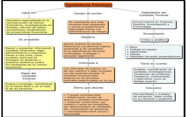 Figura 5. Contaduría Forense 