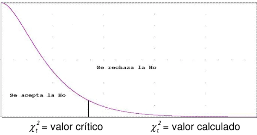 Tabla 01: Distribución de la Población (N) 