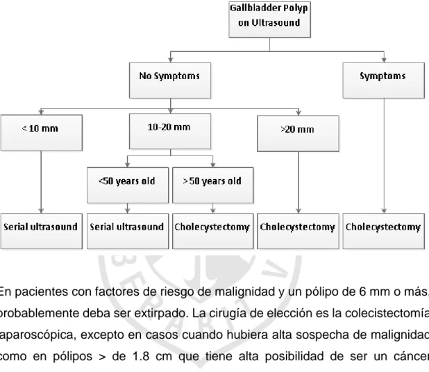 Figura  1:  Algoritmo  de  tratamiento  para  la  presencia  de  pólipos  de  vesícula  biliar en la ecografía
