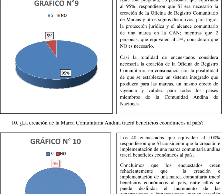 GRÁFICO N° 10 