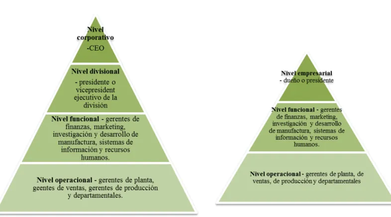 Figura 2. Niveles de estrategia dentro de la organización  Fuente: David, 2013. 