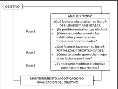 Figura 3. Esquema del proceso de aplicación del análisis FODA 