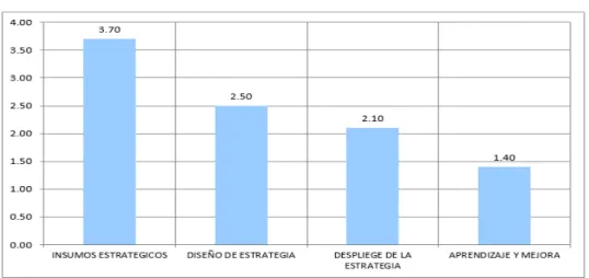 Figura 6 Diagnóstico situacional  – resultados 