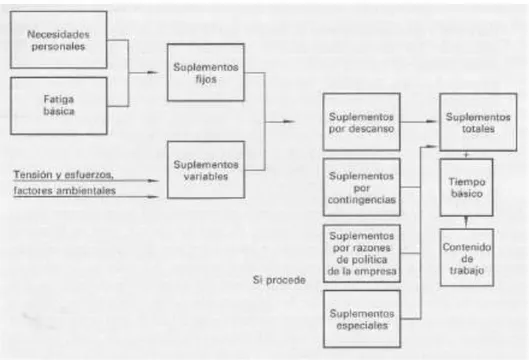 Figura 6. Suplementos. 