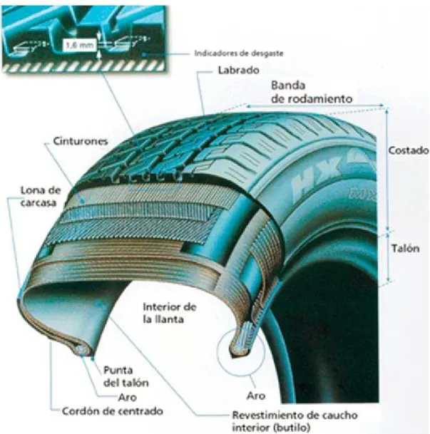 Figura Nº7: Viaje al interior del neumático                                                           Fuente: Goodyear 