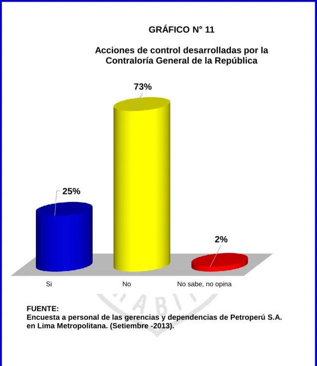 GRÁFICO N° 11