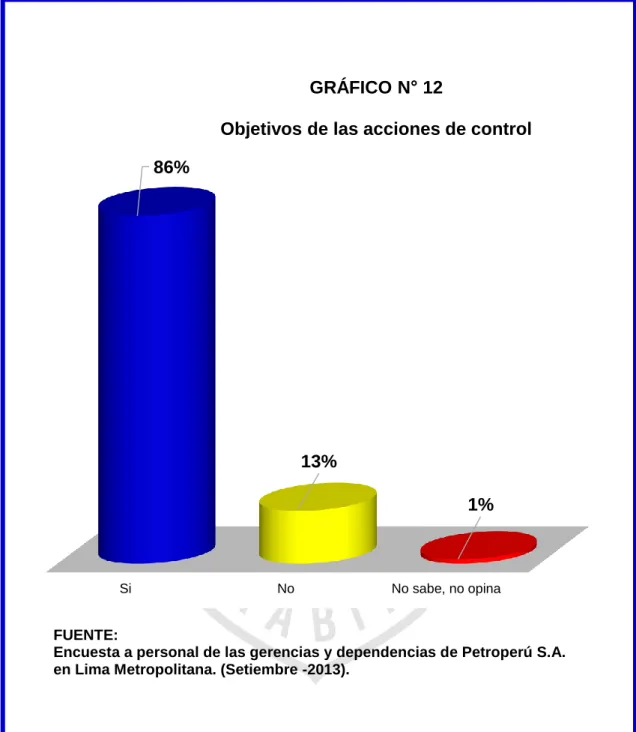 GRÁFICO N° 12