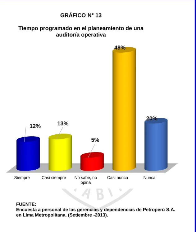 GRÁFICO N° 13