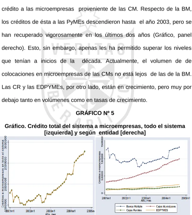 GRÁFICO Nº 5 