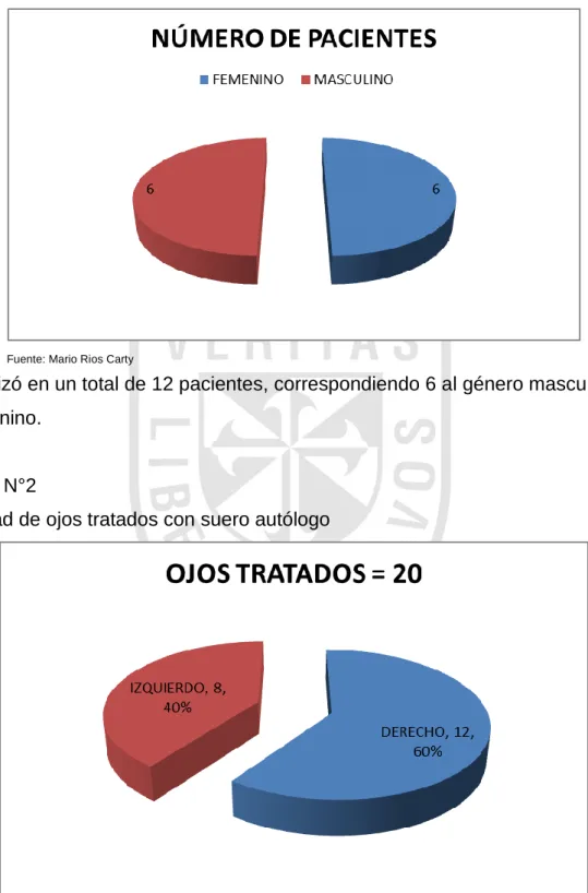 Gráfico N°1 