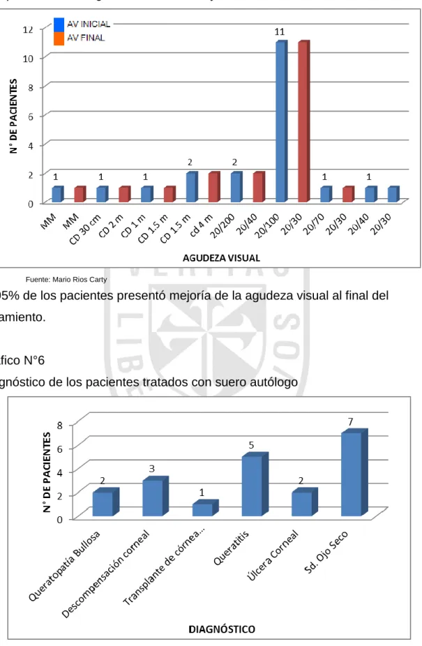 Gráfico N°5 