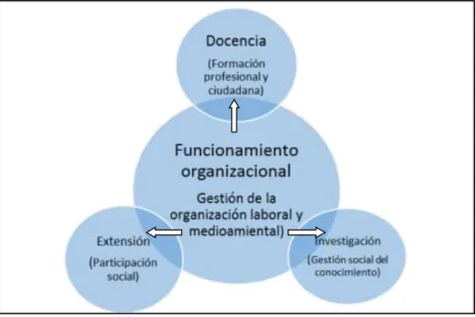 Figura 5. Dimensiones Objeto de Estudio 