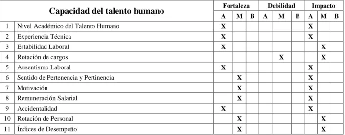 Tabla 8. Matriz de capacidad del talento humano 