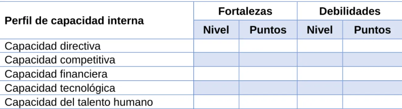 Tabla 2 Formato matriz perfil de capacidad interna 