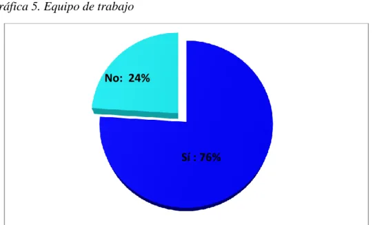 Tabla 6. Equipo de trabajo 
