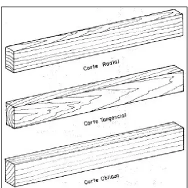 Figura 11. Tipos de corte según su orientación  