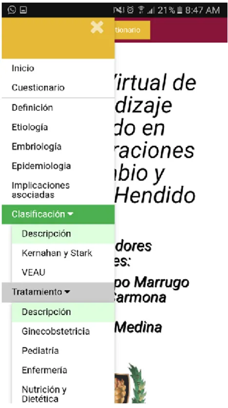 Figura 2. Menú principal con el submenú de clasificación y tratamiento. 