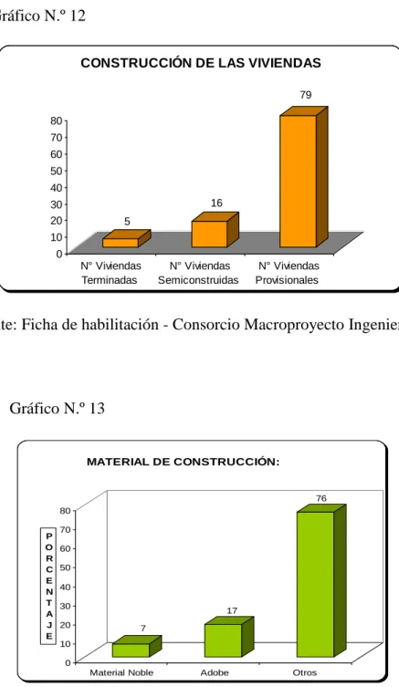 Gráfico N.º 12 