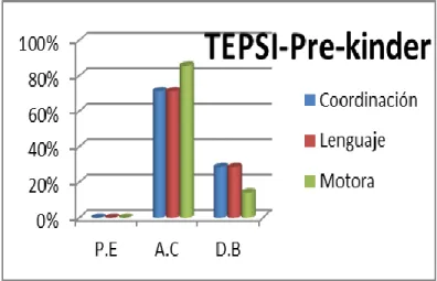 Gráfico N°17 