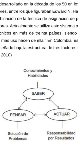 Ilustración 1.Dimensiones del método HAY Group 