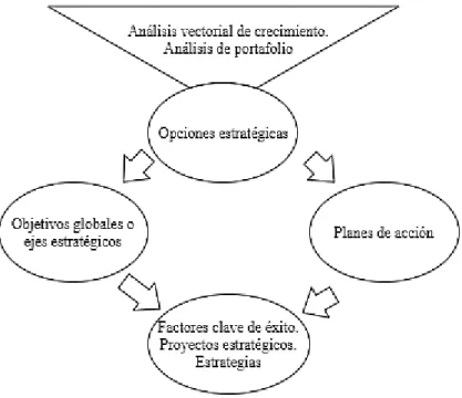 Figura 6. Opciones estratégicas 