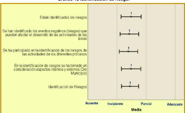 Gráfico 12 Identificación de riesgo.