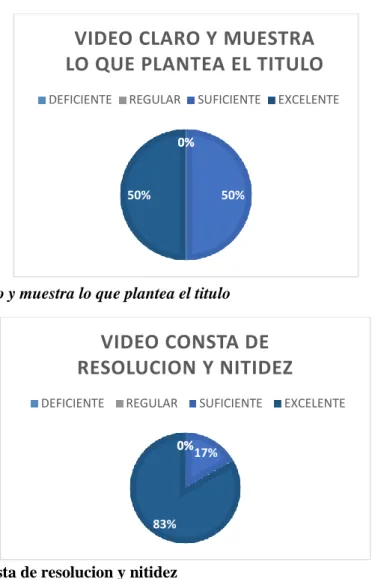 Figura 3. Video consta de resolucion y nitidez 