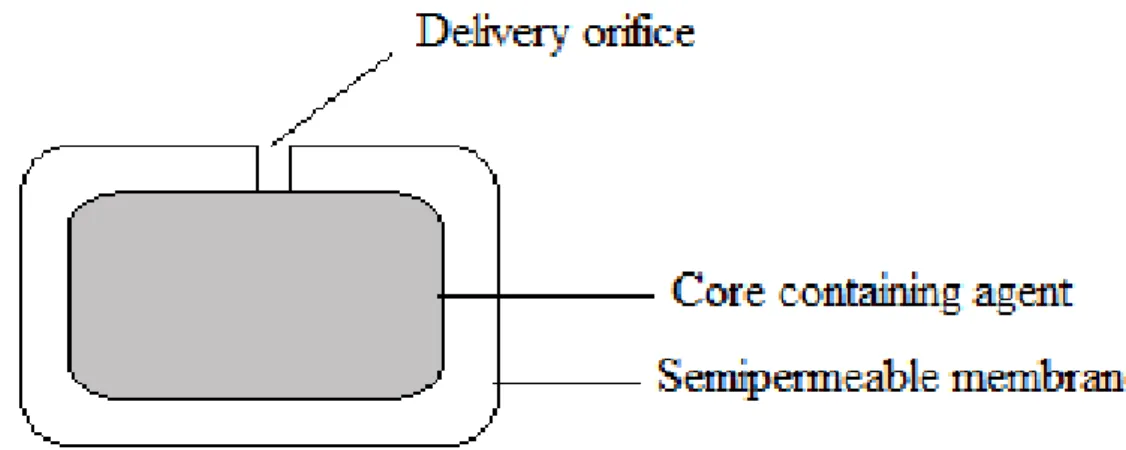 Figura  1:  Sistemas  Oros  (Oral  Release  Osmotic  System).  (JPain  Symptom  Manage, 2007)