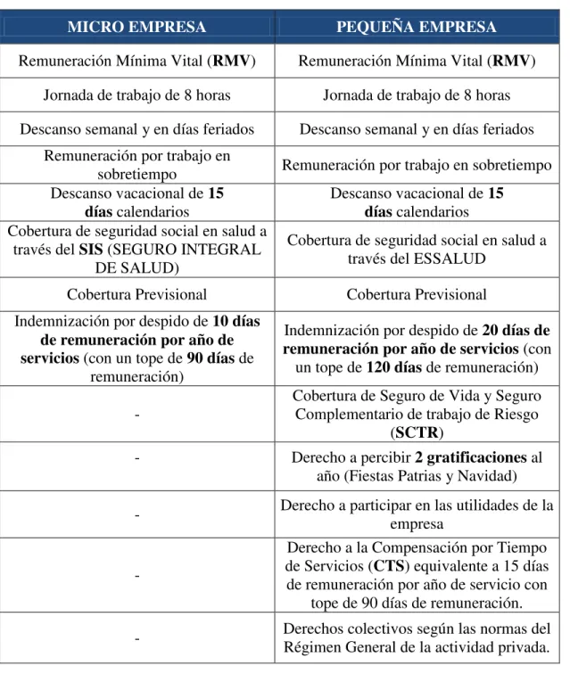 Tabla N° 9  Obligaciones En La Micro Y Pequeña Empresa  