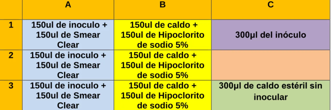 Tabla 2 Diseño de placa de la sensibilidad del Enterococcus faecalis (ATCC  29212 ®™) a Smear Clear al 100% e Hipoclorito de sodio al 5%