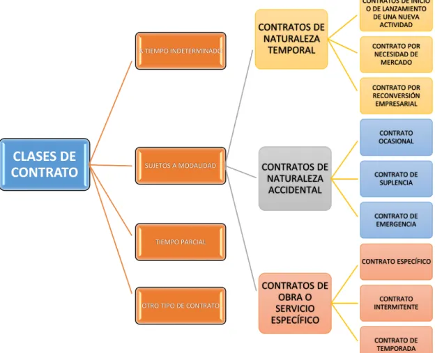 Gráfico 5 Clases de Contrato 