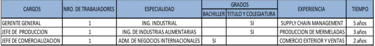 Tabla 3: CUADRO DE ASIGNACIÓN DE PERSONAL 