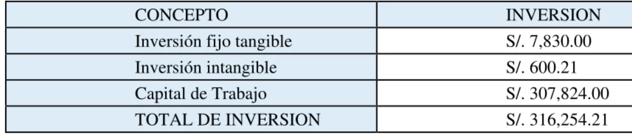 TABLA 12: INVERSIÓN TOTAL 