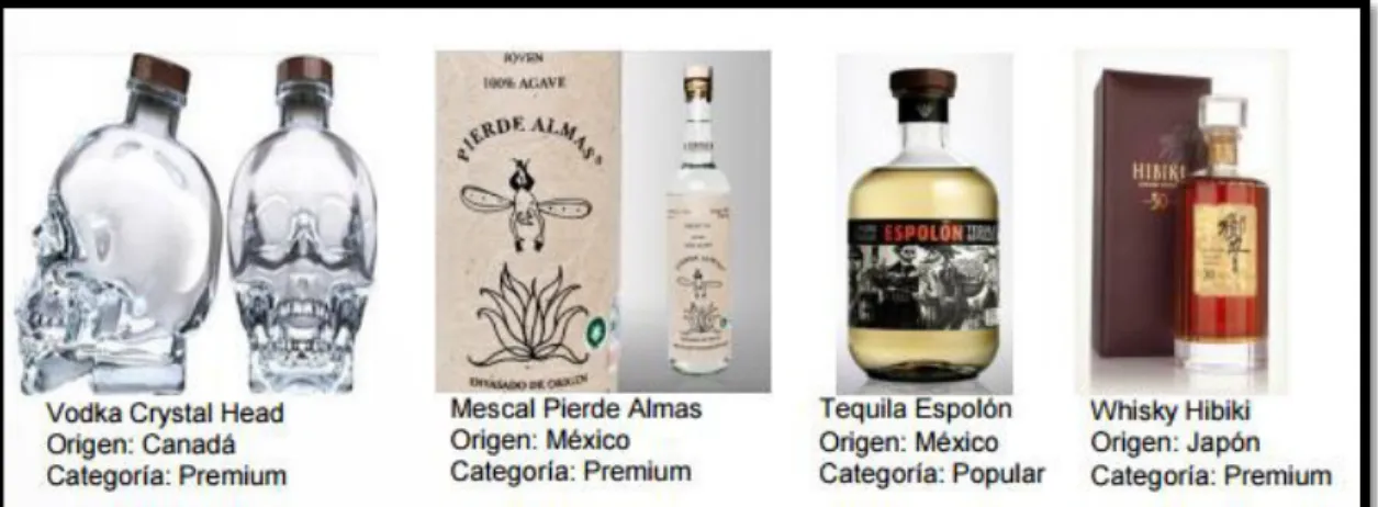 Figura N°5: Diseños de botellas 