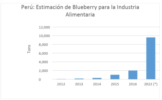 Tabla 10 Costo de Materia Prima 