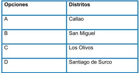Tabla 1. Distritos de ubicación del negocio 