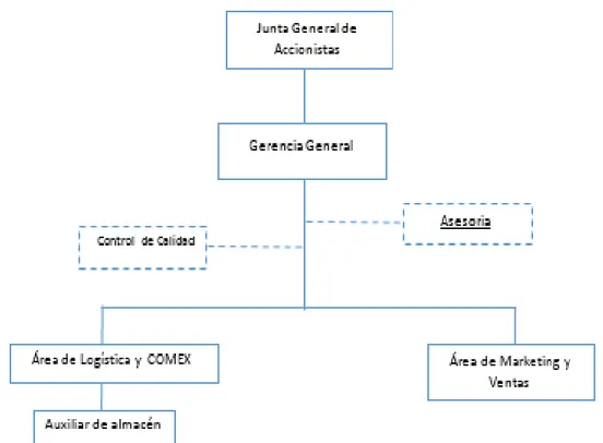 Figura  3 - Organigrama de ECO-QUINUA EXPORT S.A.C. 
