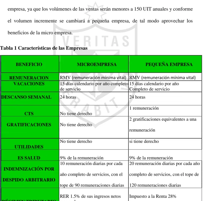 Tabla 1 Características de las Empresas 