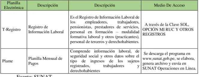 Tabla 13. Categorías de la planilla electrónica 