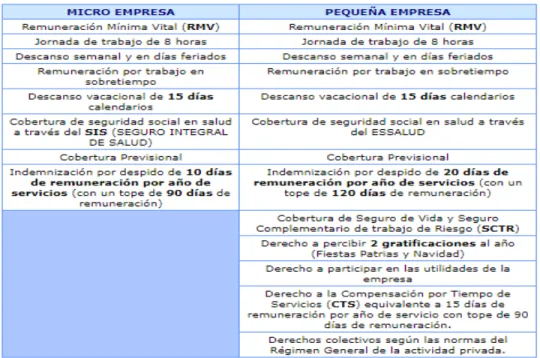 Figura 3: Obligaciones en el Régimen Laboral Especial para la Micro y Pequeña  empresa