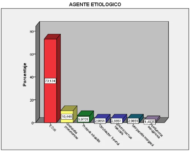 Gráfico 4. Agentes etiológicos causantes de infección urinaria. 