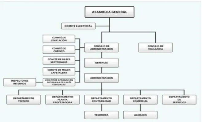 Figura 9 Organigrama CAC Bagua Grande; 